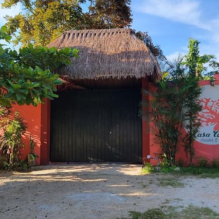 ホテル Casa Coral バカラル エクステリア 写真