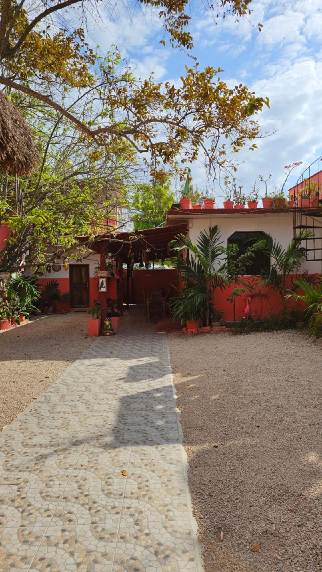 ホテル Casa Coral バカラル エクステリア 写真